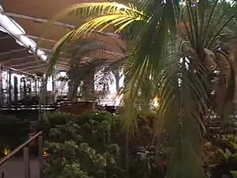 Abu Dhabi Hotel Radison Pool Garten Blu Formel 1 Rennbahn Fella.de