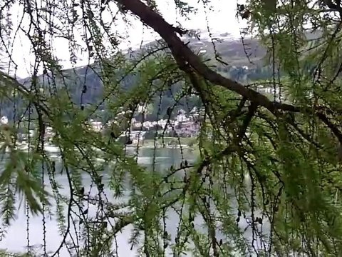 Gelöst - Motivation zum Erfolg von Ernst Crameri