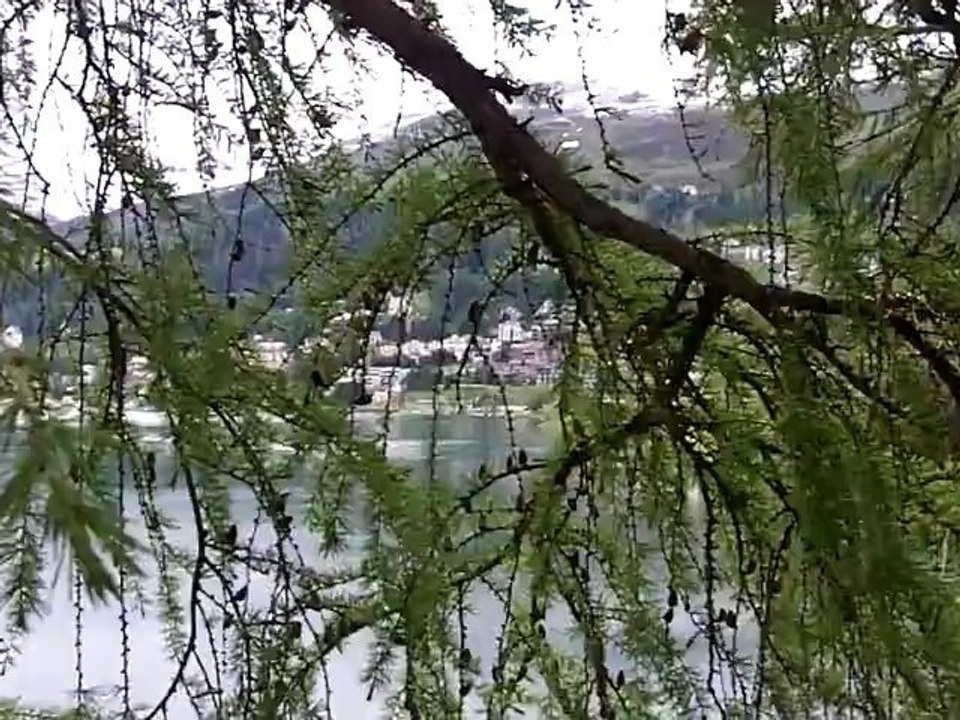 Gelöst - Motivation zum Erfolg von Ernst Crameri