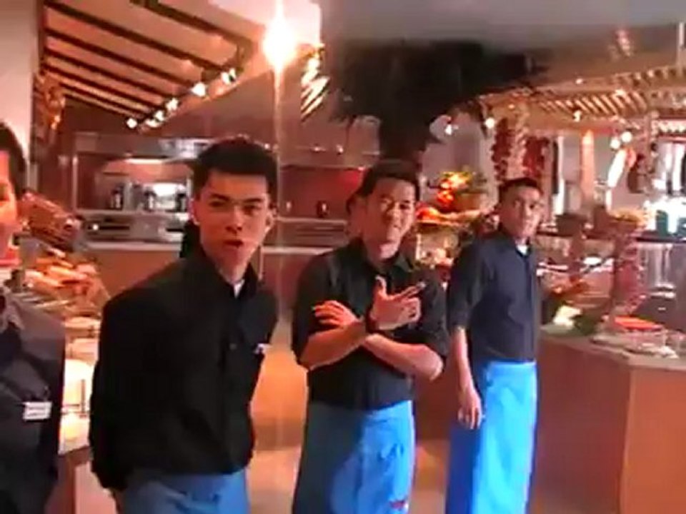 AIDAcara Hamburg Hafen Hafengeburtstag 06.05.2011