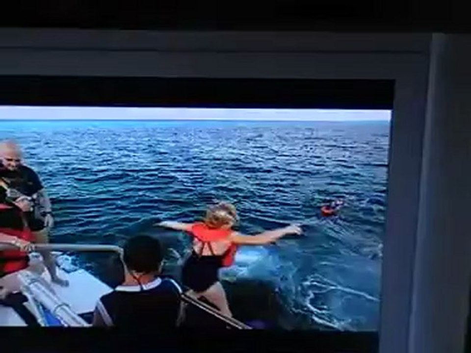 AIDAcara Hamburg Hafen Hafengeburtstag 06.05.2011