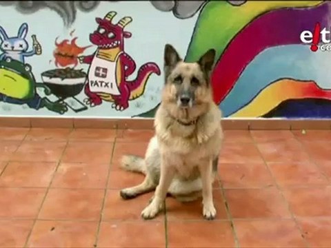 EITB Kultura. 27/04/2010