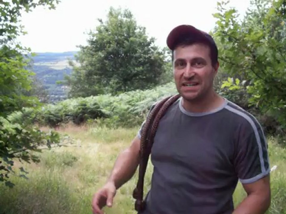 6ft COWHIDE BULLWHIP PAIR: CRACKING TEST