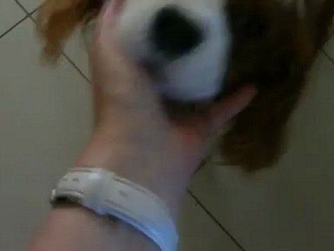 jeux avec les 3 potes