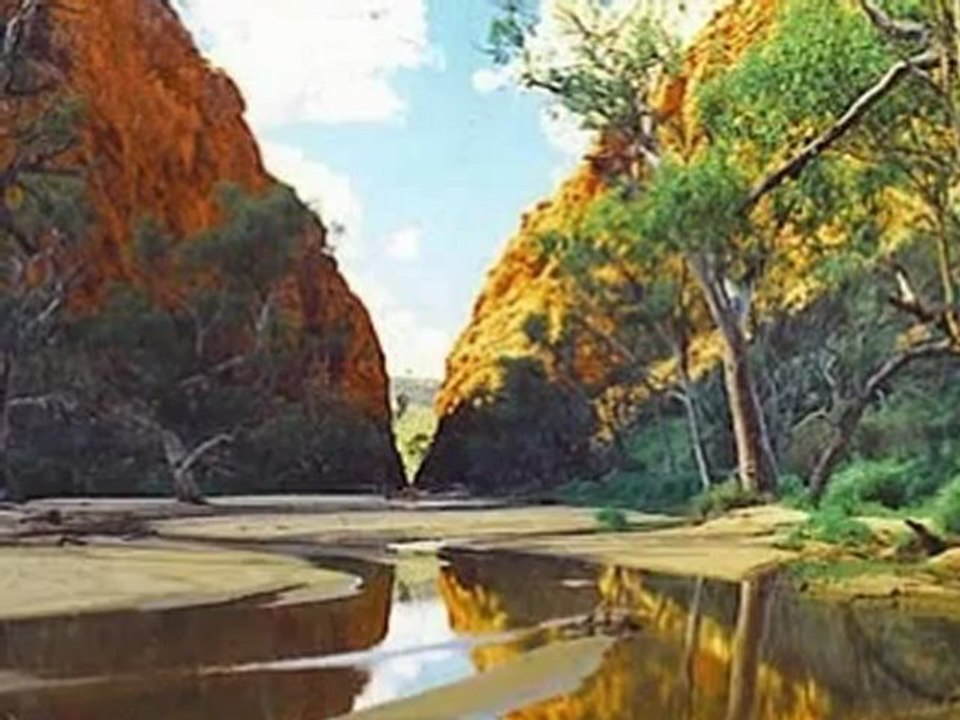 My backyard Australia  56
