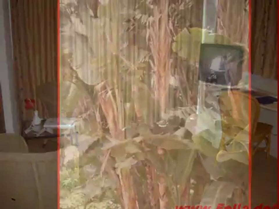 Seaside Sandy Beach Playa del Ingles, Gran Canaria Foto Bilder Video Film www.Fella.de