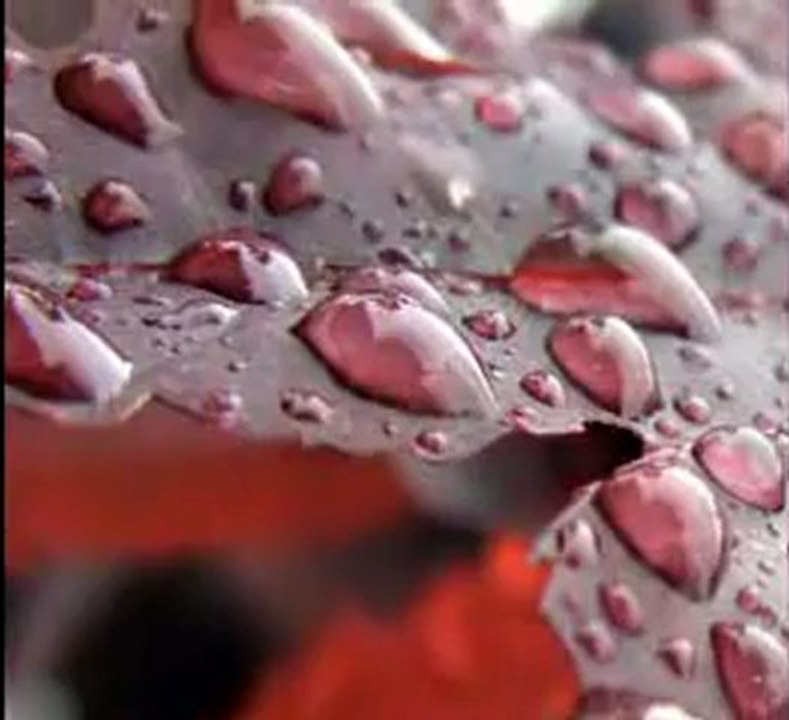 Bulent  ERSOY   CEZA        "Yağmurlu Bir Günde Doğdum Anamdan "