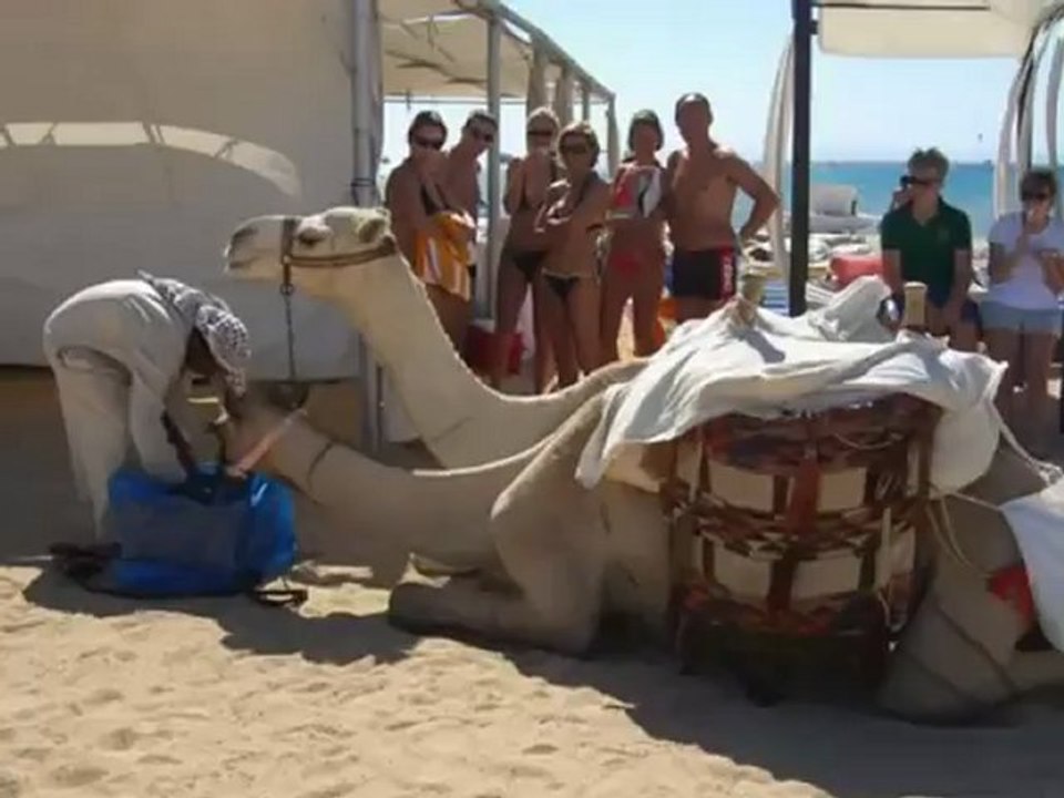 Robinson Club Soma Bay Mareike Wehner Bilder Fotos Club www.VIP-Reisen.de