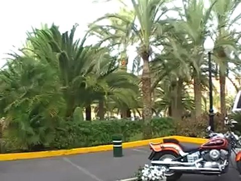 Riu Palace Meloneras Resort Maspalomas, Gran Canaria Bilder Video Film Fotos VIP-Reisen.de