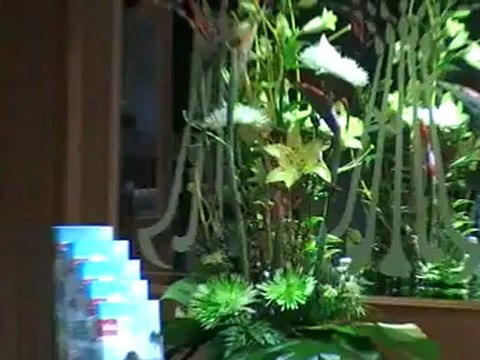 Riu Palace Maspalomas Playa del Ingles Reception Fotos Bilder Video VIP-Reisen.de