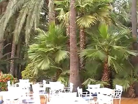 Riu Hotel Grand Palace Maspalomas Oasis Bilder Fotos Video VIP-Reisen.de