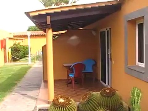 Gay Only Los Almendros Garten Playa del Ingles Gran Canaria Gay Schwul Gayanlage Gayholiday.de