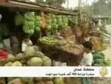 زراعة مائة الف شجرة جوز الهند في سلطنة عمان