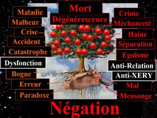 Univers TOTAL, le Nouveau Paradigme, Vérité 4: le Problème Négation