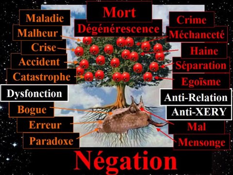 Univers TOTAL, le Nouveau Paradigme, Vérité 4: le Problème Négation