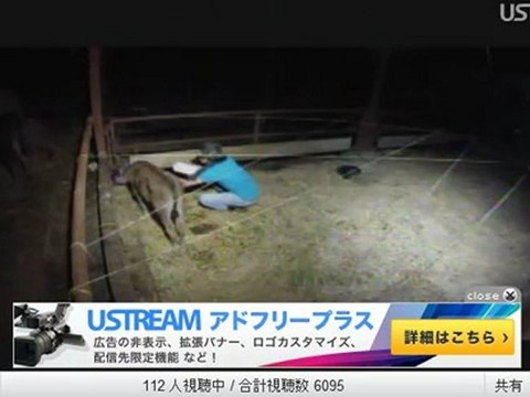 ②20120703 しずちゃん、パンダちゃん授乳中