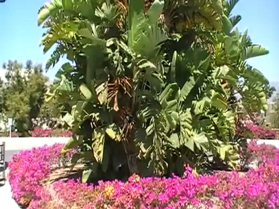 ROBINSON Club Playa Granada Motril, Costa del Sol Malaga Video Film Hubert Fella Filmer