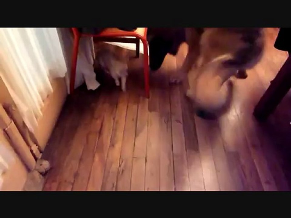 3ème jours de cohabitation pour Finook et Hakéla