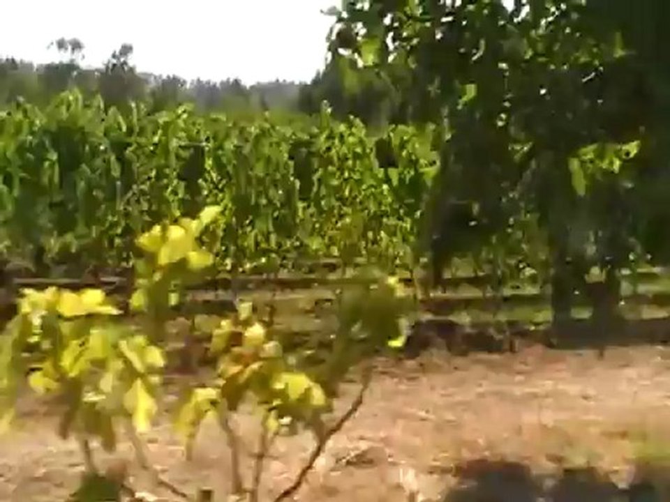 ROBINSON Club Quinta Da Ria Tavira Algarve Osten Albufeira Faro Monte Gordo Film Video Hubert Fella