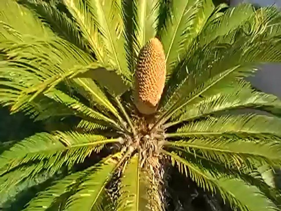 ROBINSON Club Quinta Da Ria Tavira Algarve Osten Albufeira Faro Monte Gordo Film Video Hubert Fella