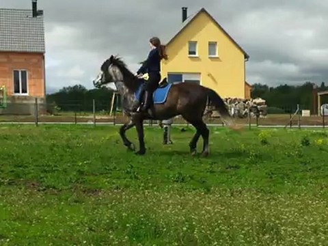 Cours avec Louise partie 5