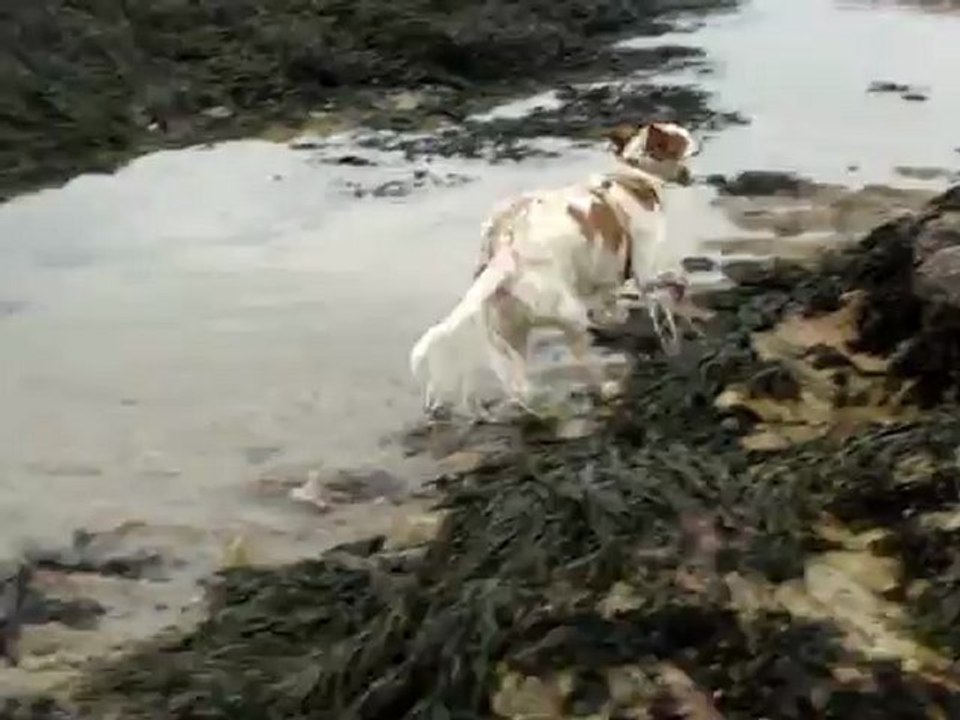 Upsa et la mer