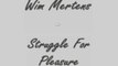 Wim Mertens - Struggle For Pleasure - Piano Cover