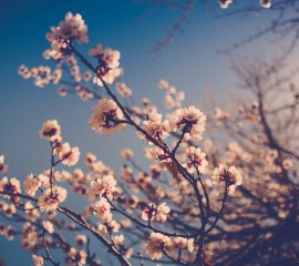 masaj salonu masoz kadıköy istanbul anadolu masaj salonlari
