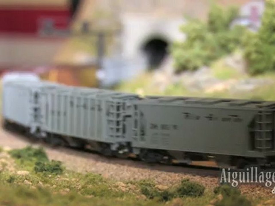 The Turtle Field Railroad