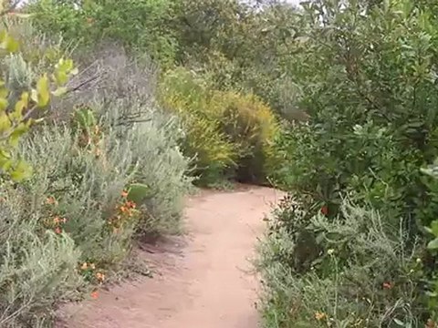 Fast Lap Fitness: Cross Training With Mountain Biking - Intervals