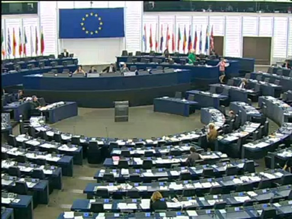 Kristiina Ojuland on #ACTA