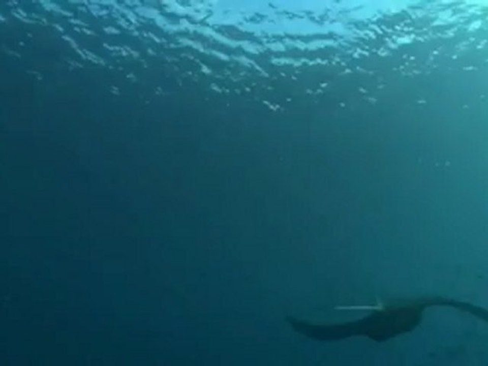 Mikronesien Palau Teil II