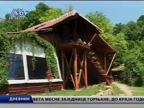 Dnevnik, 31. jul 2011.