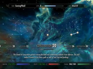 The Elder Scrolls V Skyrim - Playthrough pt43 [Max Settings]