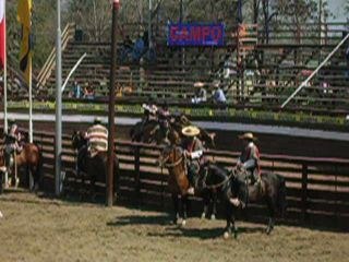 Rodeo chilien (7 points)