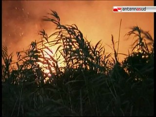 TG 03.07.12 A Gravina brucia ancora "Difesa Grande"