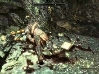 The Elder Scrolls V Skyrim - Playthrough pt219 [Max Settings]
