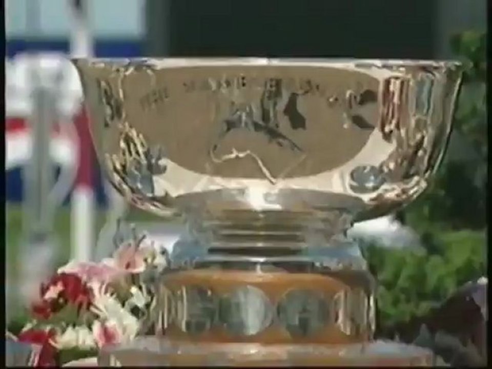 Hambiltonion | Horse DVDs | Horse Videos | 26 Real Life Stories