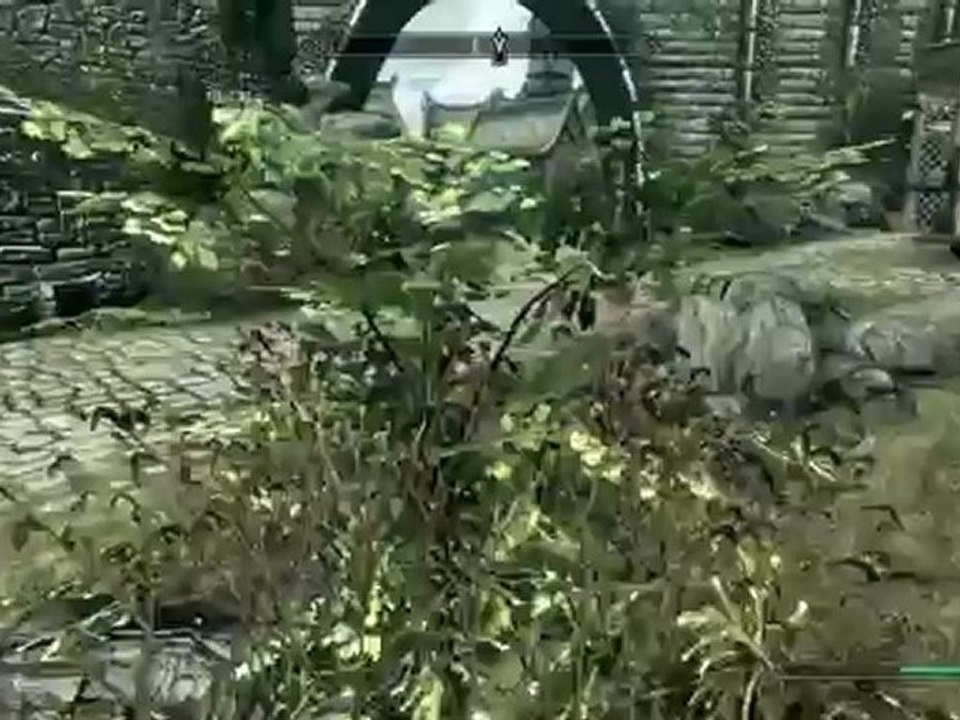 The Elder Scrolls V Skyrim - Playthrough pt242 [Max Settings]