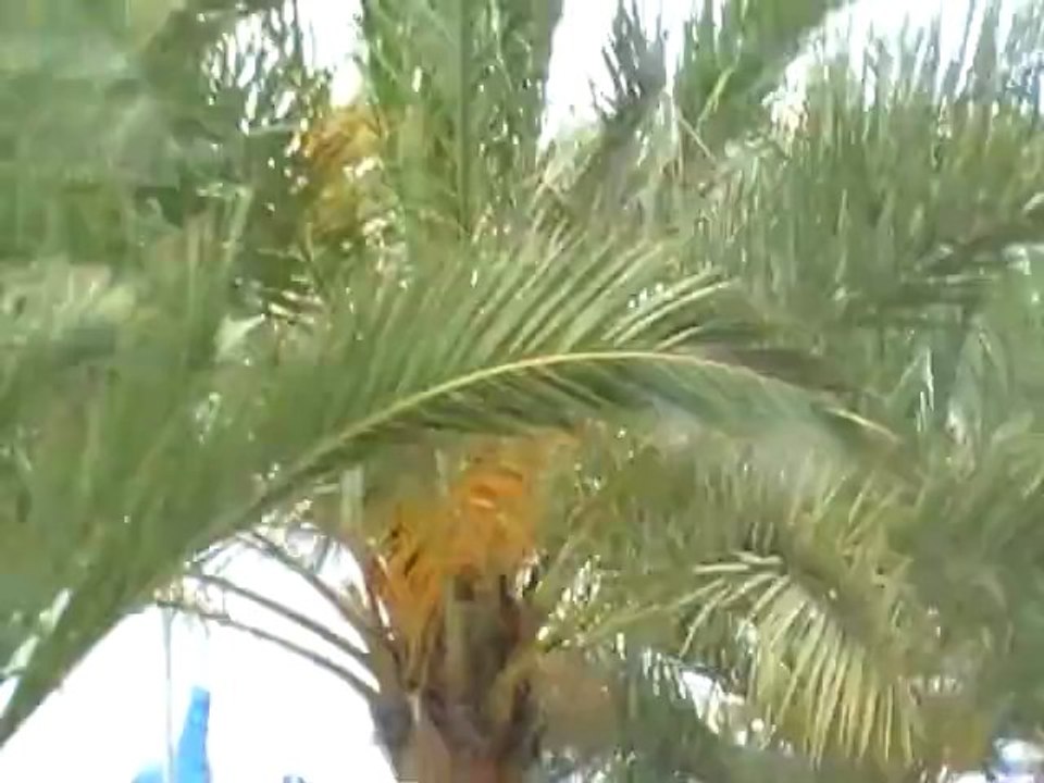 AIDAbella Mittelmeer Kreuzfahrt Cruises Film Video Hubert Fella