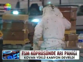 FSM köprüsünde arı paniği ve kaza - 3 temmuz 2012
