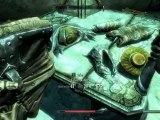 The Elder Scrolls V Skyrim - Playthrough pt262 [Max Settings]