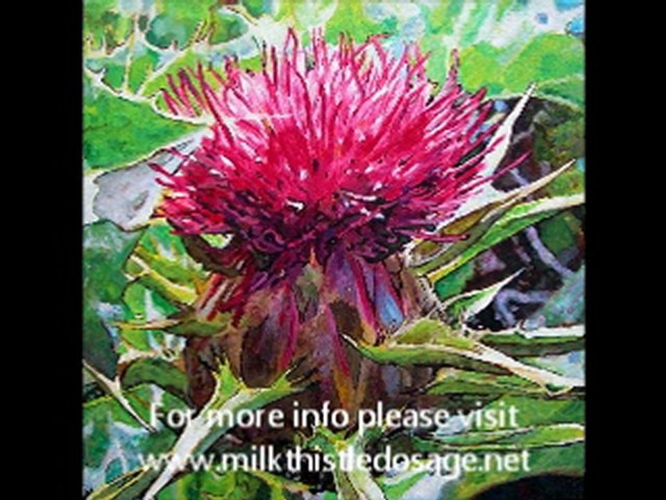 Milk Thistle Dosage Facts