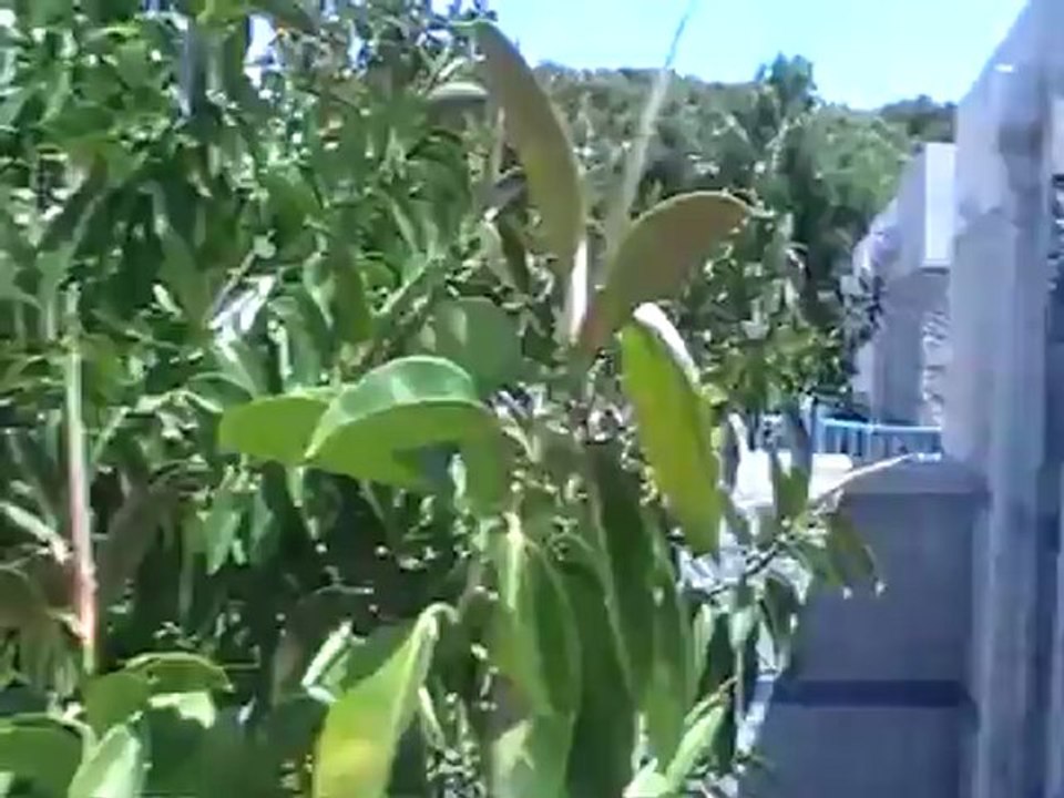 Robinson Club Pamfilya  Türkische Riviera Side Zimmer Hubert Fella