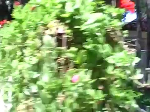 Robinson Club Pamfilya Türkische Riviera Side Kinderplatz Hubert Fella