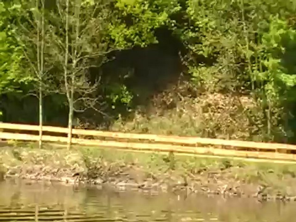 saarschleibe bootsfahrt Saarschleife Touristik: Saarschleife Schifffahrt