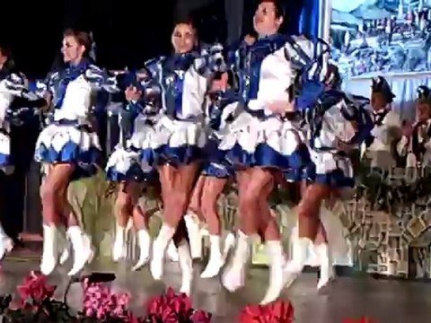 Prunksitzung Hammelburg 21.02.2009 HA KA GE Fasching Garde