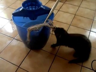 socket fait le ménage