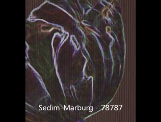 6-A3P-Présentation tendances LUMIERE NOIRE