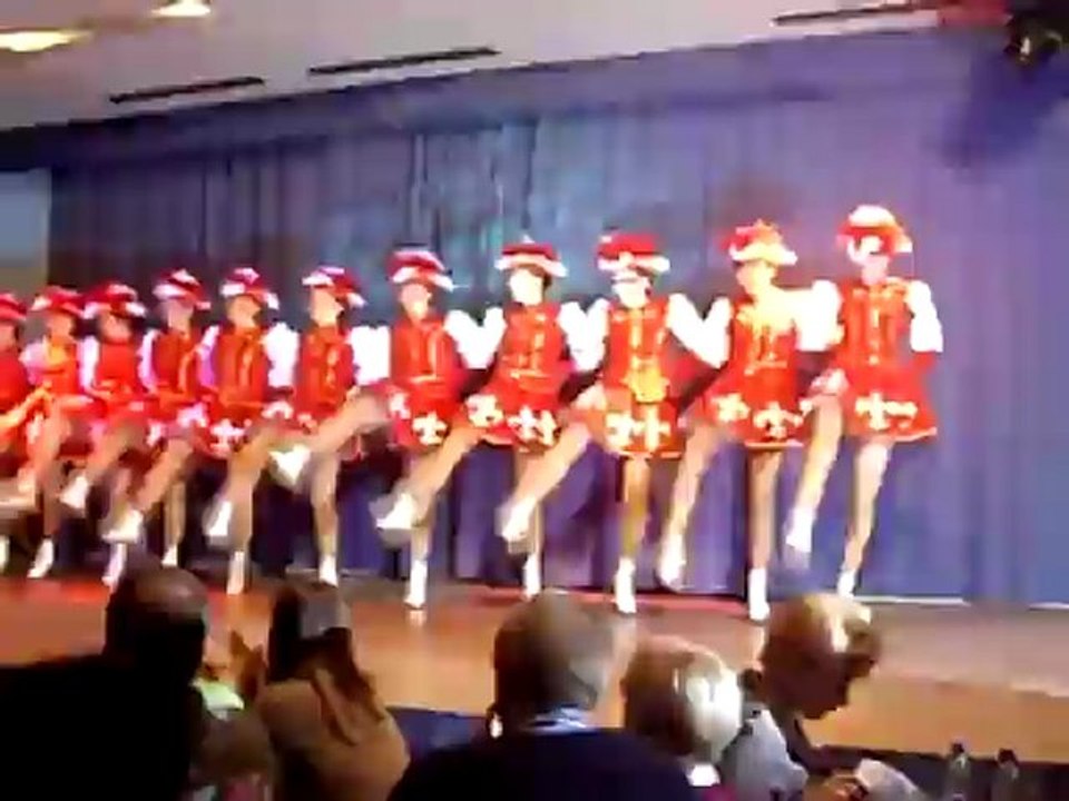 Prunksitzung in Gauaschach 30.01.2009 Prinzengarde GCA Gauaschach